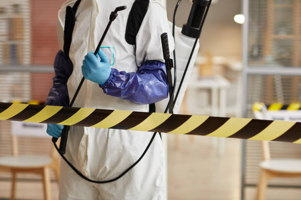 Professional Sewage Cleanup technician working in Allen, TX
